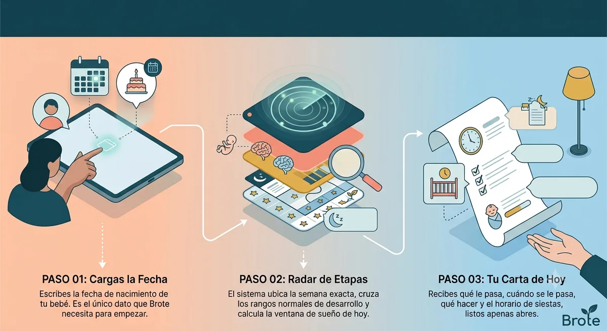Paso 1: cargás la fecha. Paso 2: radar de etapas. Paso 3: tu carta de hoy.